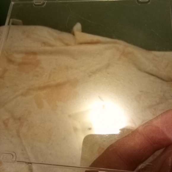 Etherlords Anthology DVD Rom PC UIG Entertainment: Etherlords and Etherlords 2 - Picture 6 of 10